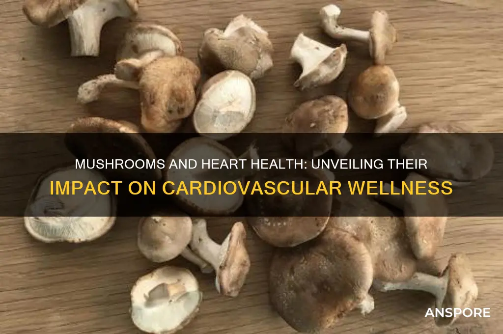 what do mushrooms do to your heart