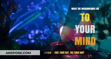 Exploring Mushrooms' Mind-Altering Effects: Unveiling Cognitive and Psychological Impacts