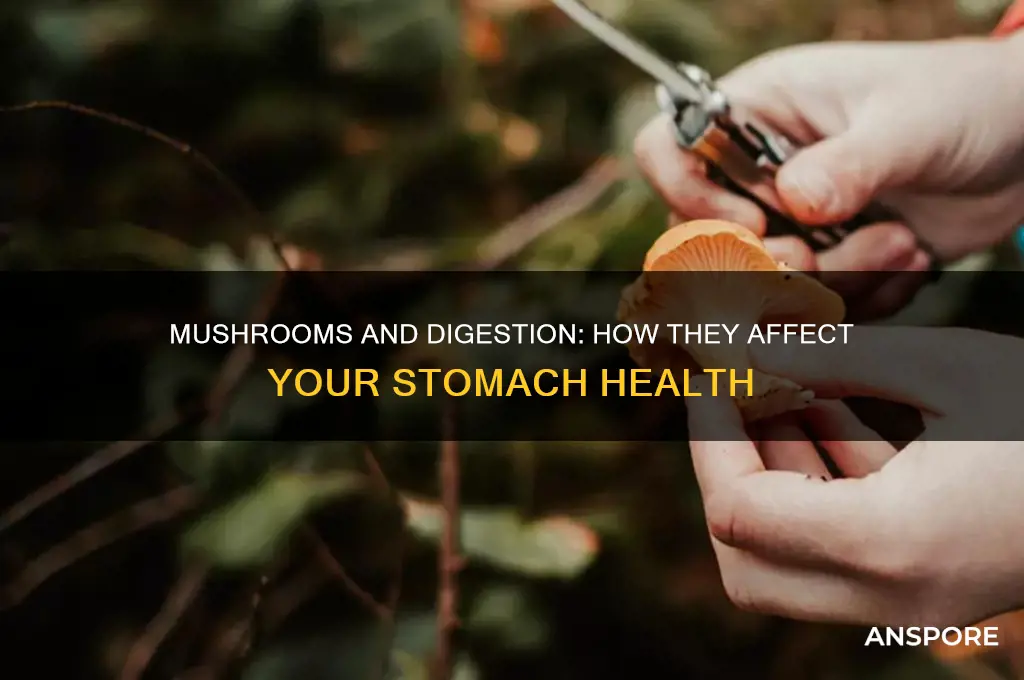 what do mushrooms do to your stomach