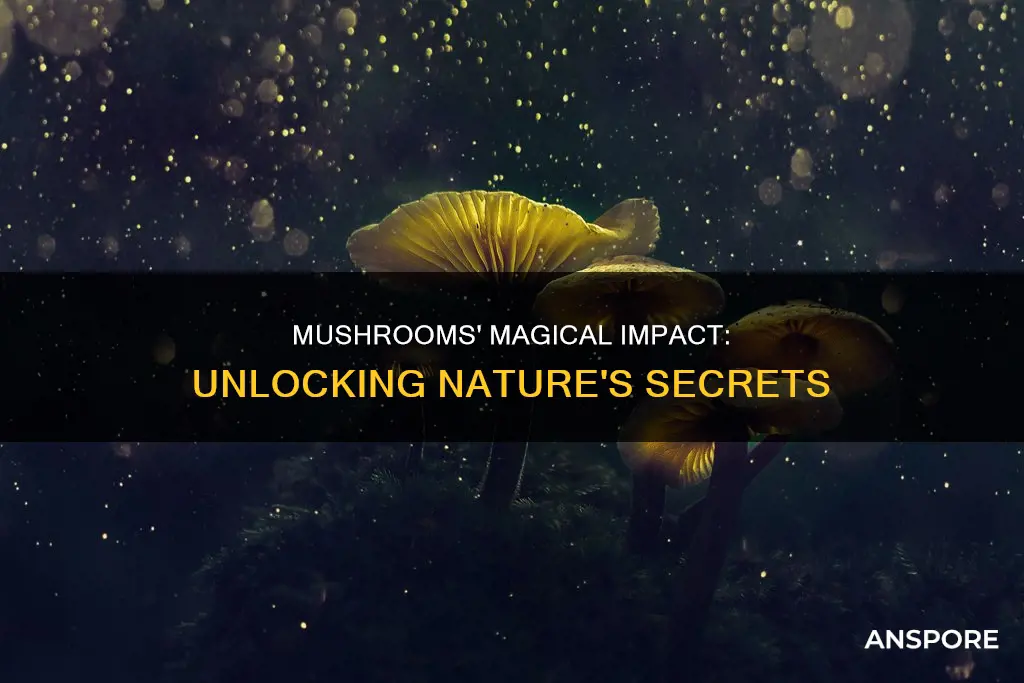 what do mushrooms effect
