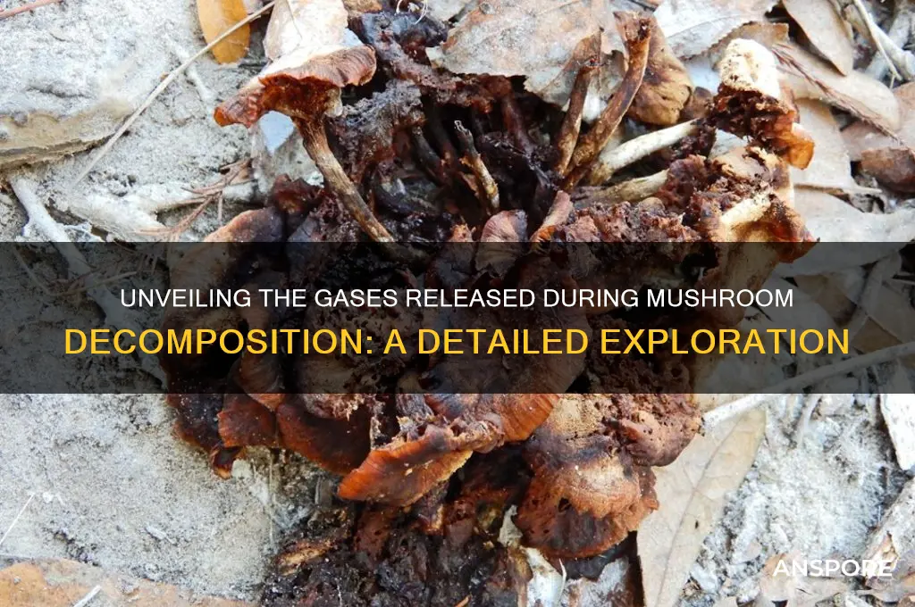what do mushrooms gas off when they decompose