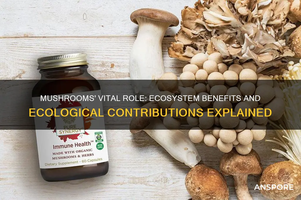 what do mushrooms give back to the ecosystem