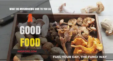 Mushrooms: Nutrient-Rich Superfood Benefits for Health and Flavor