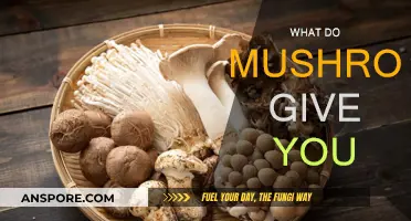 Mushrooms: Nature's Superfood for Your Health