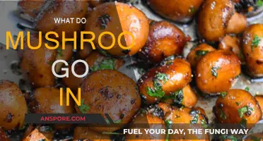 Mushroom Magic: Perfect Pairings and Recipes