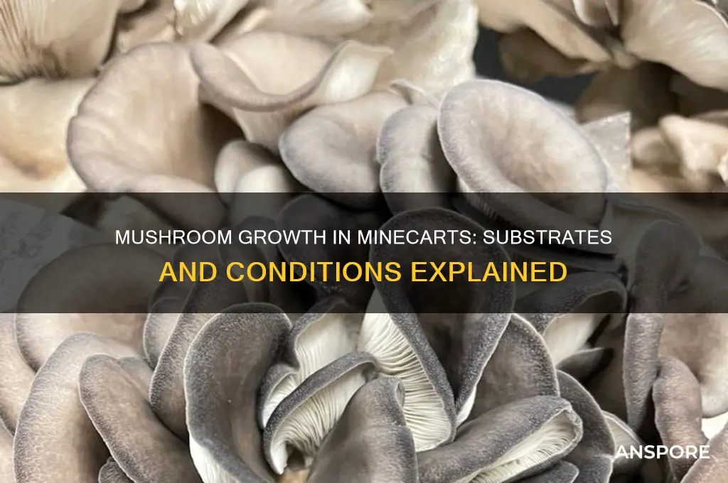 what do mushrooms grow on in minecart