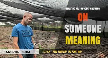 Mushrooms Growing on Someone: Unraveling the Myth and Its Meaning