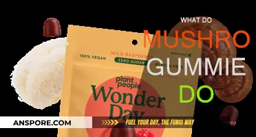 Mushroom Gummies: Benefits and Effects Explained