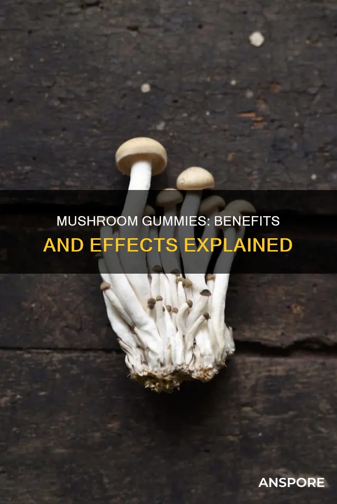 what do mushrooms gummies do