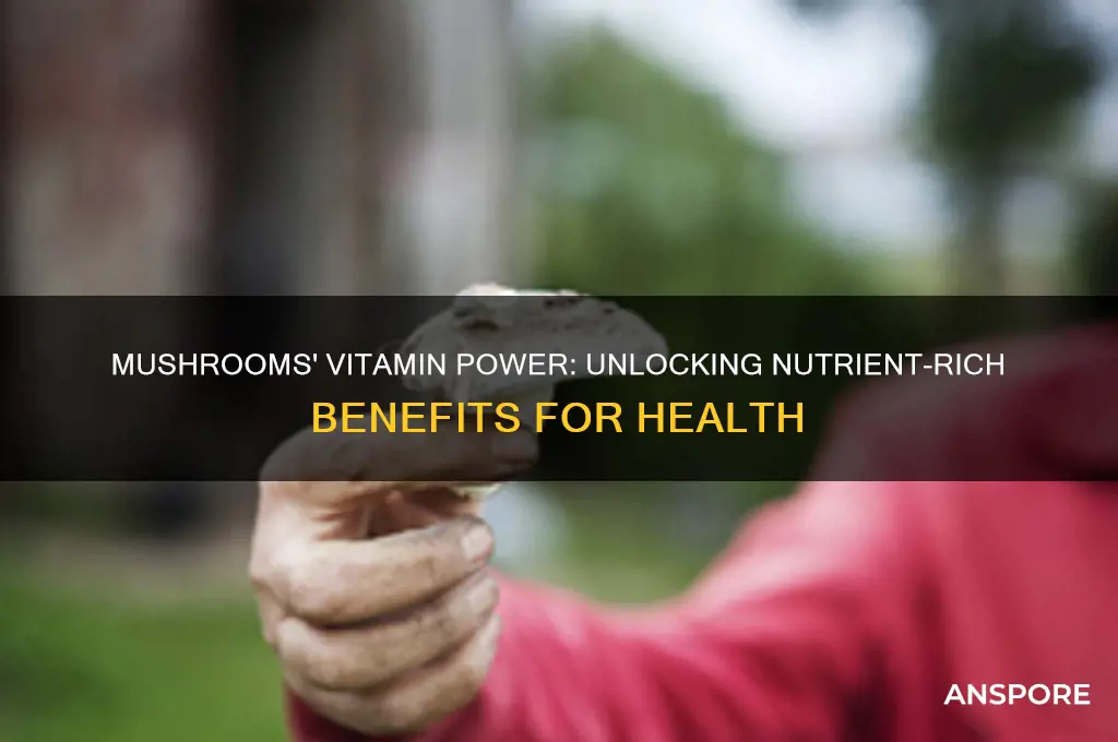 what do mushrooms have for vitamins