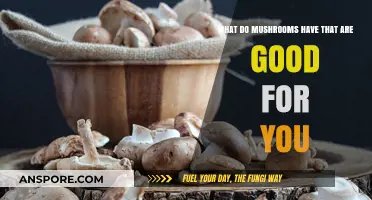 Mushrooms' Nutritional Benefits: Unlocking Their Health-Boosting Compounds and Vitamins