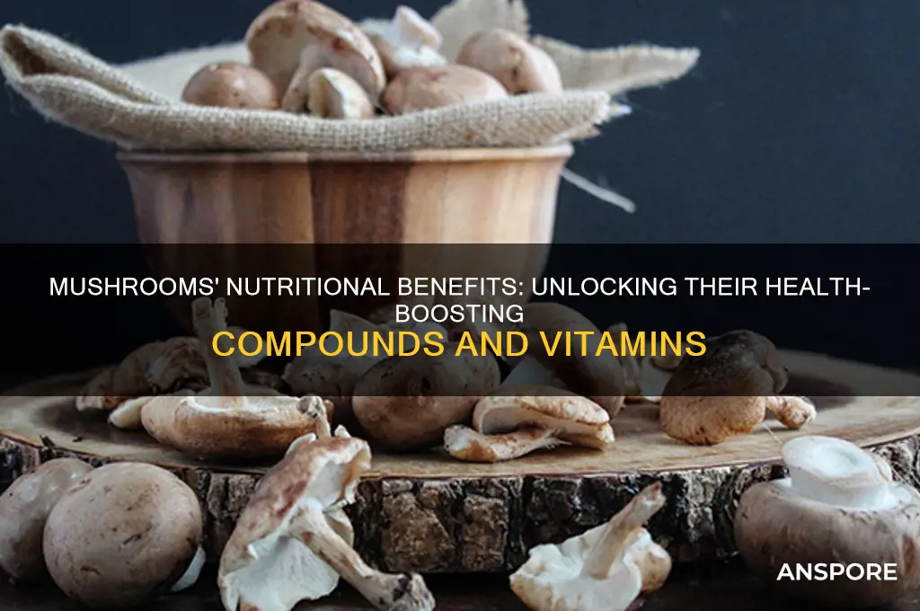 what do mushrooms have that are good for you