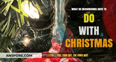 Mushrooms and Christmas: Unveiling the Festive Fungal Connection