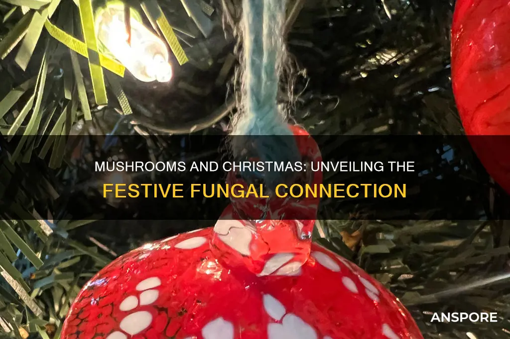 what do mushrooms have to do with christmas
