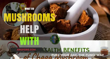 Mushrooms: Nature's Superfood for Your Health