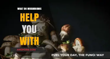Mushrooms' Surprising Benefits: Boosting Health, Immunity, and Mental Clarity