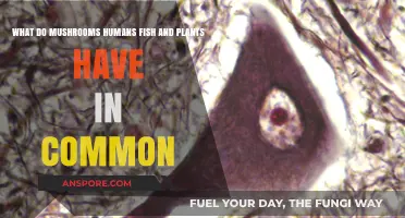 Uniting Kingdoms: Shared Traits of Mushrooms, Humans, Fish, and Plants