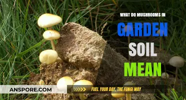 Mushrooms in Garden Soil: Signs, Benefits, and What They Indicate