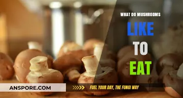 What Do Mushrooms Eat? Unveiling Their Unique Nutritional Preferences