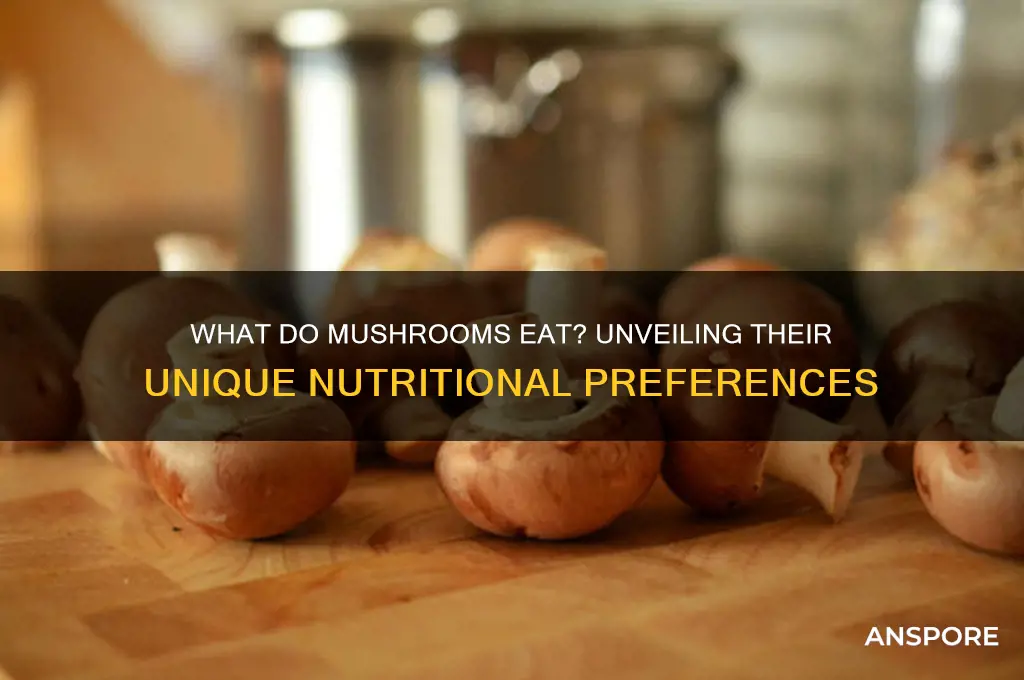 what do mushrooms like to eat