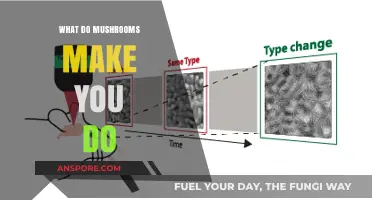 Exploring the Effects: What Do Mushrooms Make You Do?