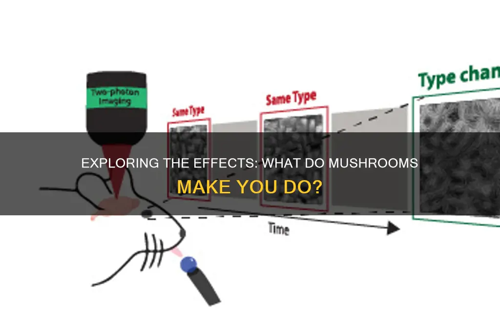 what do mushrooms make you do
