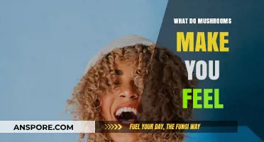 Exploring Mushroom Effects: Emotions, Sensations, and Mind-Altering Experiences