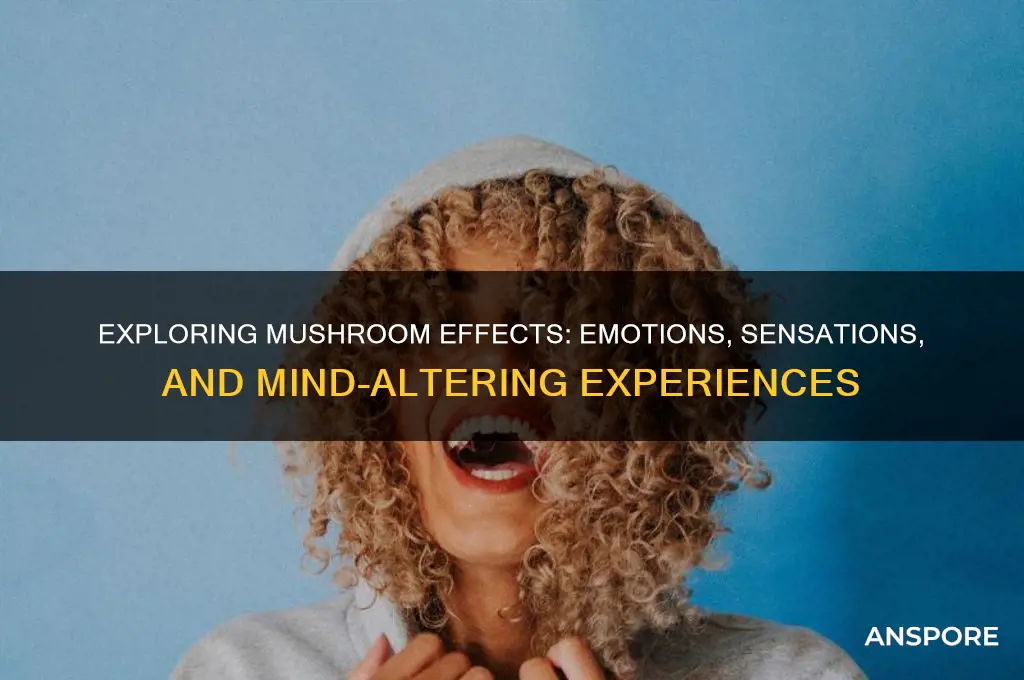 what do mushrooms make you feel
