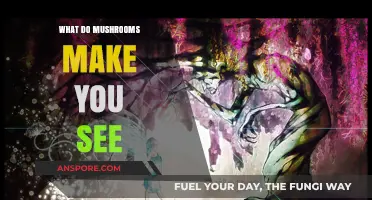 Exploring the Psychedelic Visions: What Mushrooms Make You See