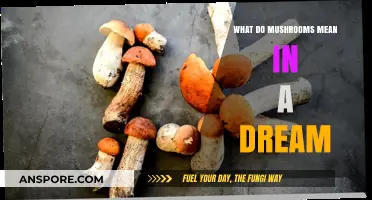 Decoding Mushroom Dreams: Unveiling Hidden Messages and Symbolism in Your Subconscious