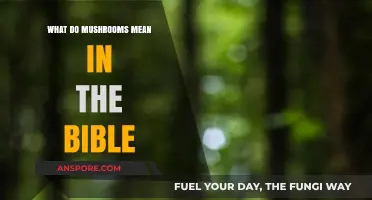 Biblical Symbolism of Mushrooms: Unveiling Their Spiritual Significance in Scripture