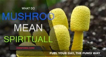 Mushrooms: A Spiritual Gateway to the Divine