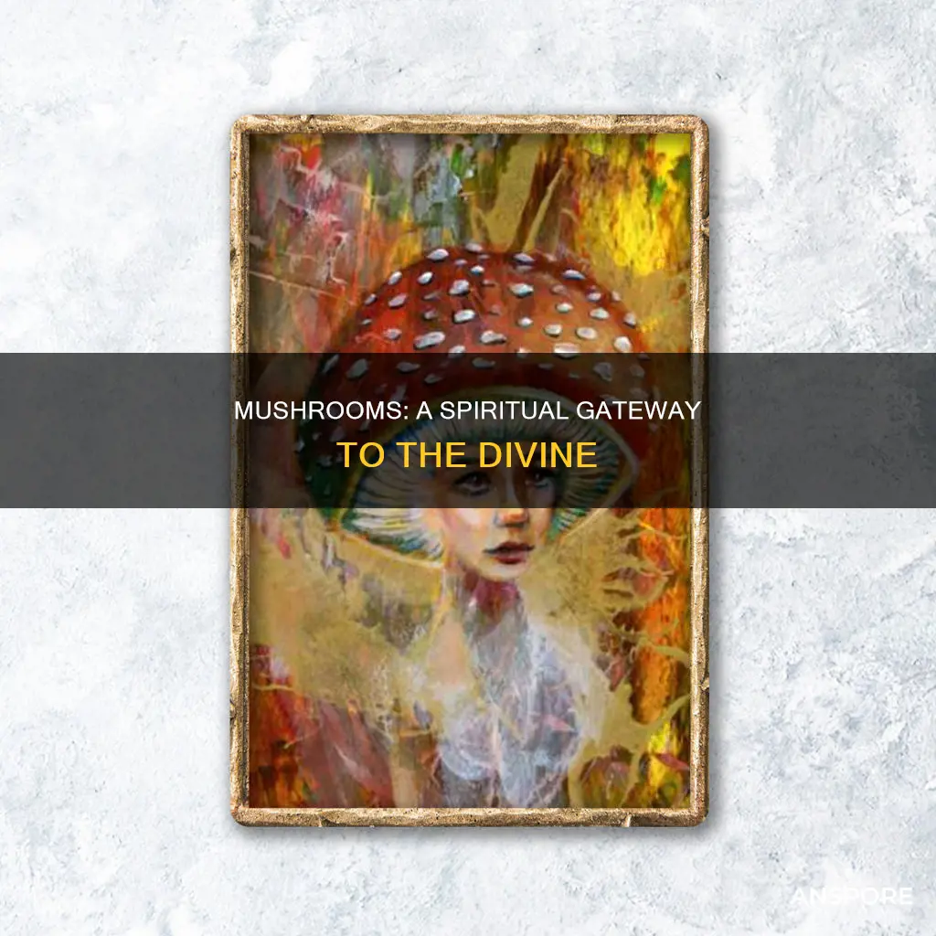 what do mushrooms mean spiritually