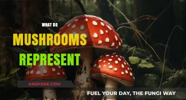 Mushrooms: Nature's Mystical and Medicinal Powerhouses