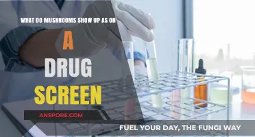 Do Mushrooms Appear on Drug Tests? Psilocybin Detection Explained