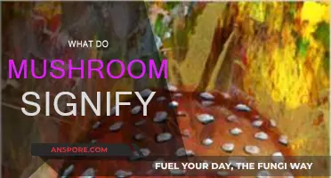 Mushrooms: Nature's Signifiers of Life and Death