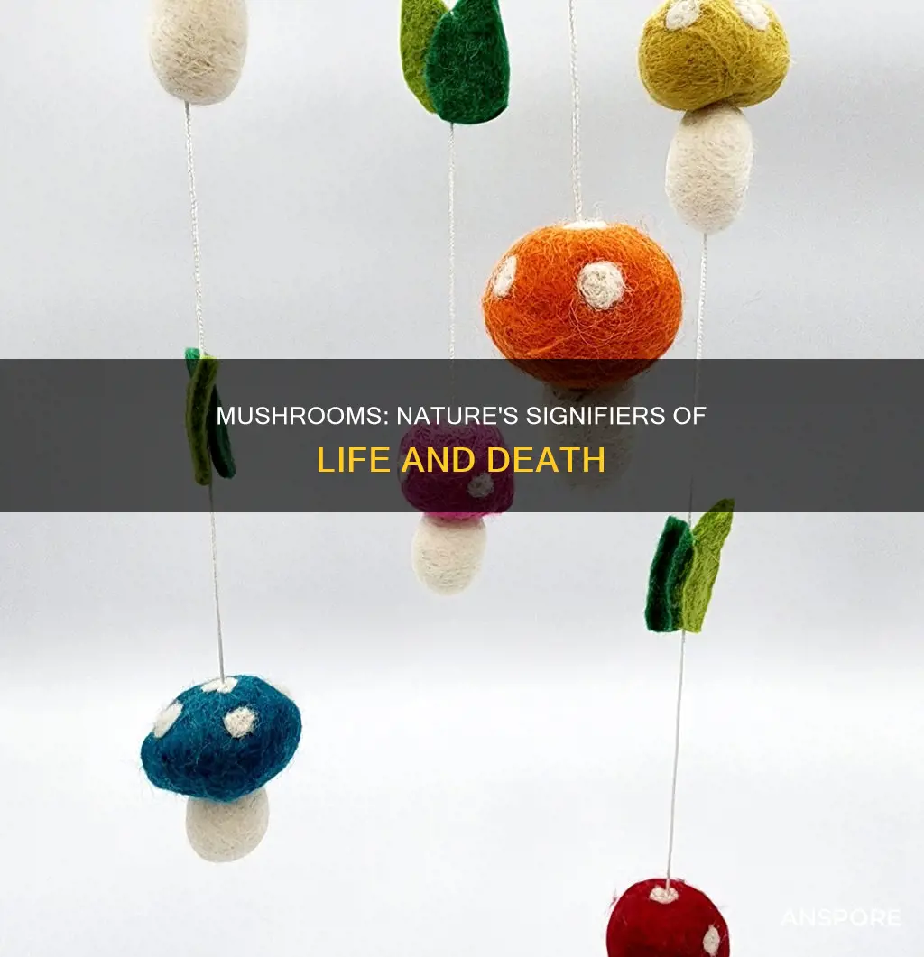 what do mushrooms signify