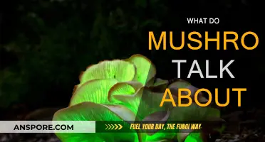 Mushrooms' Secret Language: What Do They Discuss?