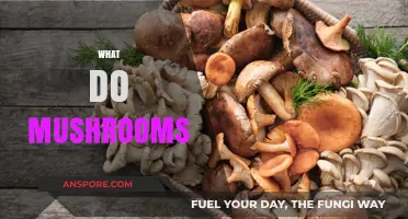Mushrooms: Nature's Magical Superfood