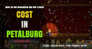 Petalburg Prices: Mushroom and Fire Flower Costs Revealed