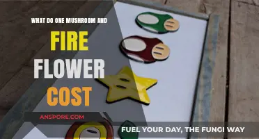 Mushroom and Fire Flower Costs: A Super Mario Pricing Guide