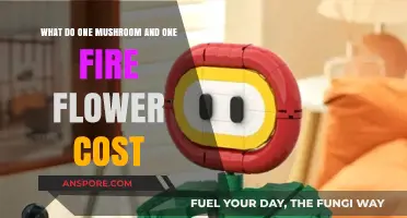 Mushroom and Fire Flower Costs: A Super Mario Shopping Guide