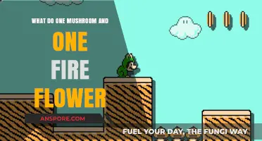 Mushroom vs. Fire Flower: Unlocking Power-Ups in the Mario Universe