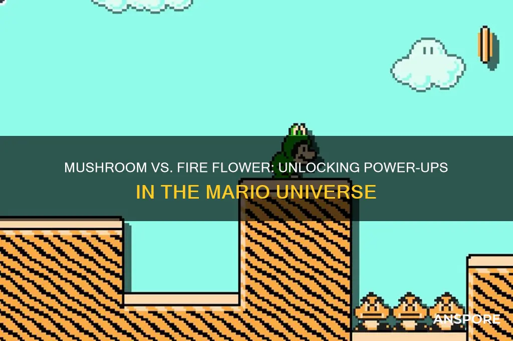 what do one mushroom and one fire flower