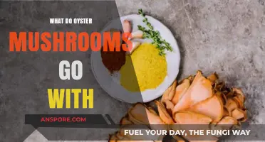 Delicious Pairings: What Oyster Mushrooms Go With in Your Kitchen