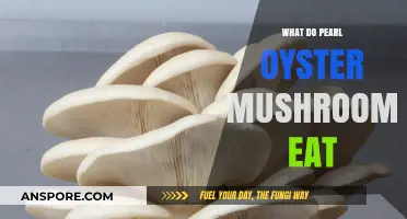 What Pearl Oyster Mushrooms Eat: Unveiling Their Unique Dietary Habits