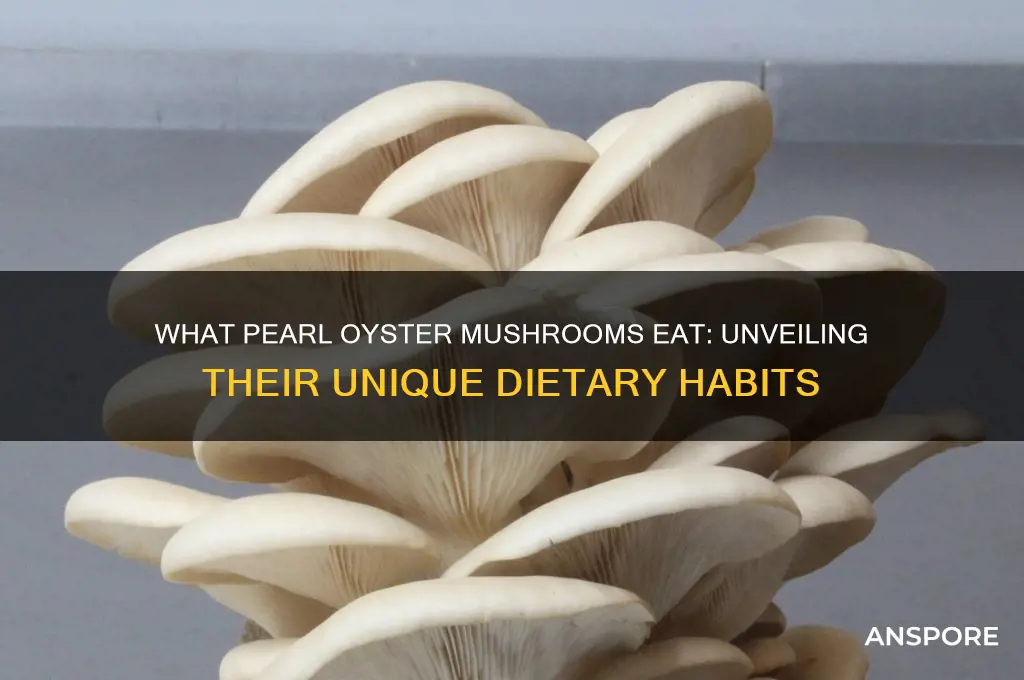 what do pearl oyster mushrooms eat