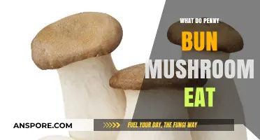 What Do Penny Bun Mushrooms Eat? Unveiling Their Unique Dietary Habits