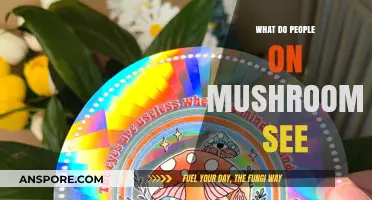 Exploring the Psychedelic Realm: What Do People on Mushrooms See?