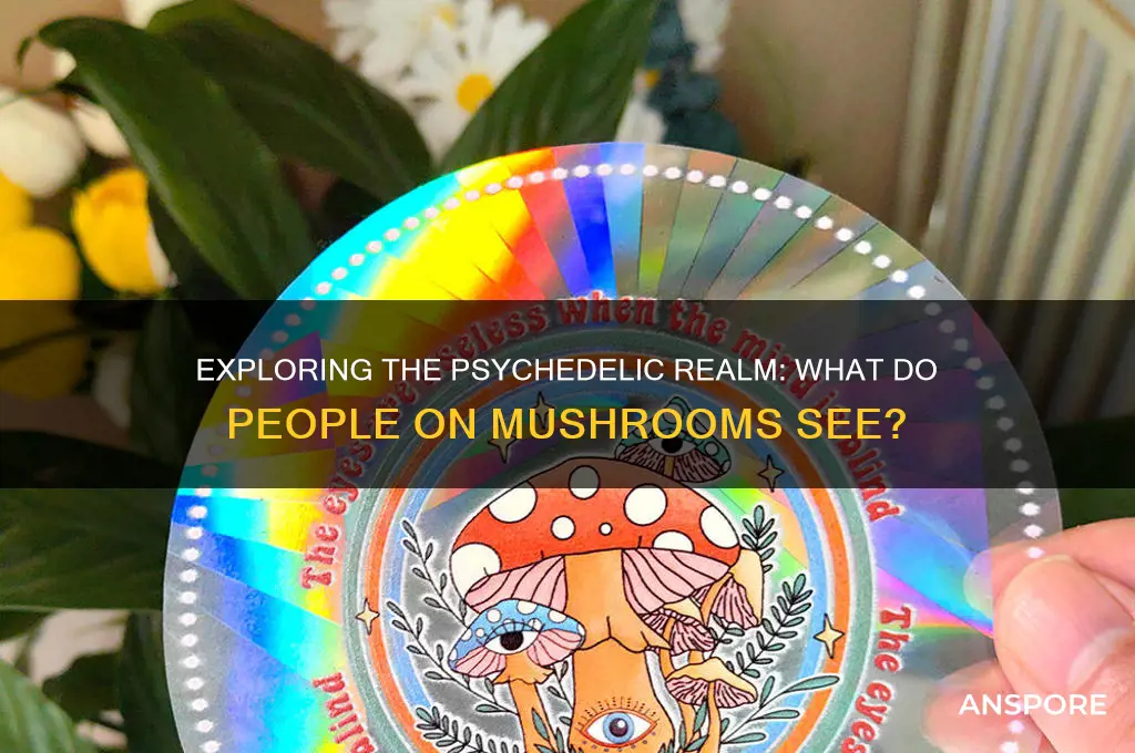 what do people on mushrooms see